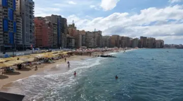 طقس الإسكندرية اليوم.. أمطار واضطراب رياح وأتربة عالقة